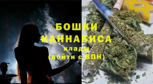 ALPHA PVP Осинники