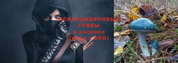 MESCALINE Вяземский