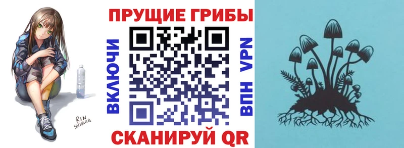 Купить  Курлово  Галлюциногенные грибы прущие грибы 